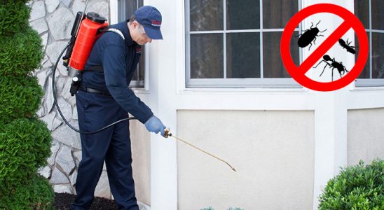Karakeçili Kene İlaçlama böcek ilaçlama ve haşere kontrolü — ilaclama-tr.com